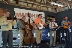 Marshall Bluegrass Festival 2016