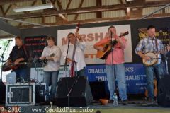 Marshall Bluegrass Festival 2016