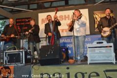 Marshall Bluegrass Festival 2016