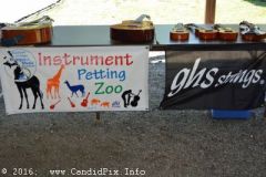 Milan Bluegrass Festival 2016