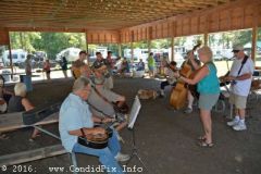 Milan Bluegrass Festival 2016