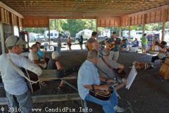 Milan Bluegrass Festival 2016