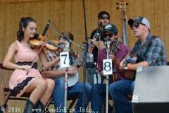 Milan Bluegrass Festival 2016
