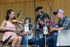 Milan Bluegrass Festival 2016