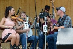 Milan Bluegrass Festival 2016