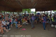 Milan Bluegrass Festival 2016