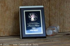 Milan Bluegrass Festival 2016