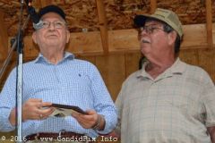 Milan Bluegrass Festival 2016