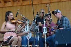 Milan Bluegrass Festival 2016