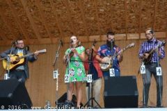 Milan Bluegrass Festival 2016