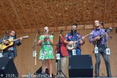 Milan Bluegrass Festival 2016