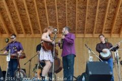 Milan Bluegrass Festival 2016