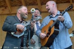 Milan Bluegrass Festival 2016