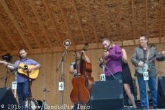 Milan Bluegrass Festival 2016