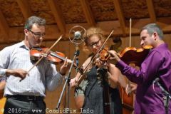 Milan Bluegrass Festival 2016