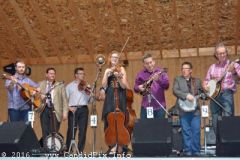 Milan Bluegrass Festival 2016