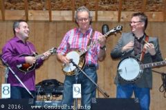 Milan Bluegrass Festival 2016