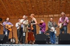 Milan Bluegrass Festival 2016