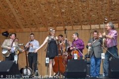 Milan Bluegrass Festival 2016