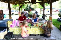 Blissfield Bluegrass on the River 2017