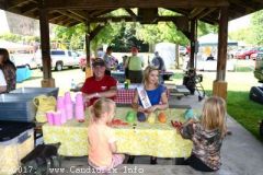 Blissfield Bluegrass on the River 2017