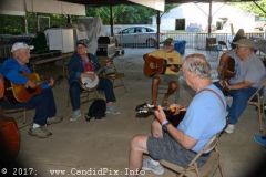 Charlotte Bluegrass Festival 2017