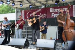 Charlotte Bluegrass Festival 2017