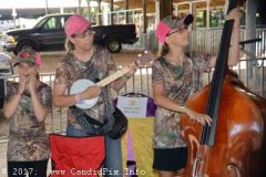 Charlotte Bluegrass Festival 2017