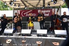 Charlotte Bluegrass Festival 2017