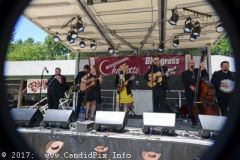 Charlotte Bluegrass Festival 2017