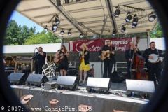 Charlotte Bluegrass Festival 2017