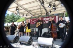 Charlotte Bluegrass Festival 2017