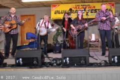 Palatka-2-17-054