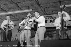 Palatka-2-17-313