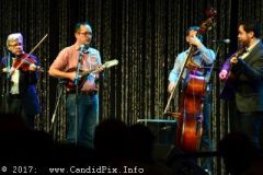 World of Bluegrass 2017