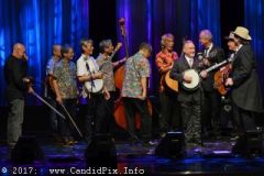 World of Bluegrass 2017