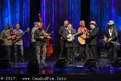World of Bluegrass 2017
