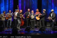 World of Bluegrass 2017
