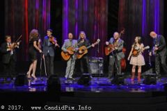 World of Bluegrass 2017