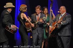 World of Bluegrass 2017