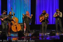 World of Bluegrass 2017