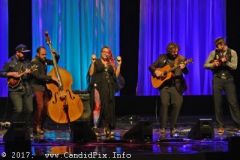 World of Bluegrass 2017
