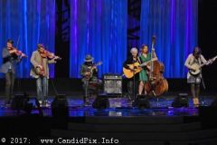 World of Bluegrass 2017