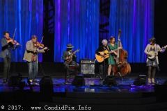 World of Bluegrass 2017