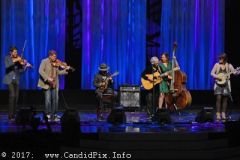 World of Bluegrass 2017