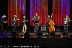 World of Bluegrass 2017