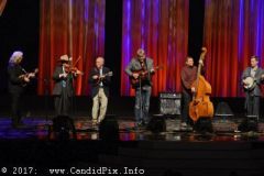 World of Bluegrass 2017