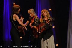 World of Bluegrass 2017