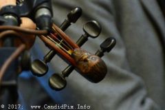 World of Bluegrass 2017