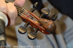 World of Bluegrass 2017